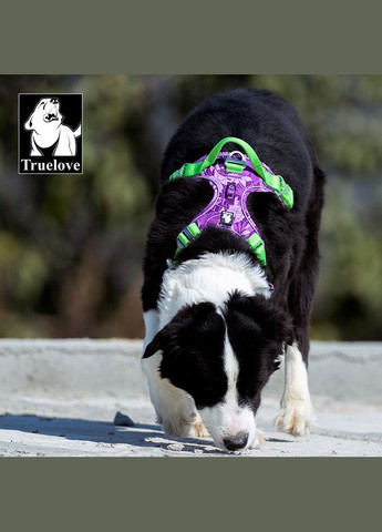 Шлея для собак Tropical, регулируемая светоотражающая нейлоновая шлея, Фиолетовый XS (33-43см) Truelove (301940173)