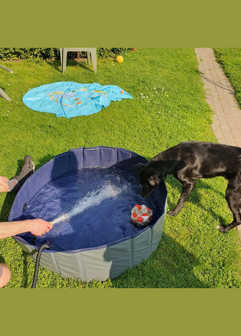 Басейн для собак XXL 100x30см Purlov (340073055)