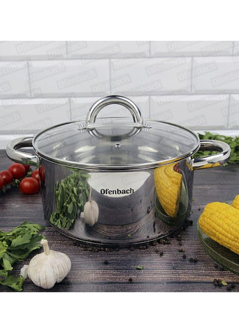 Каструля індукційна із нержавіючої сталі 4л зі скляною кришкою для приготування їжі кухонний посуд Ofenbach (368989414)