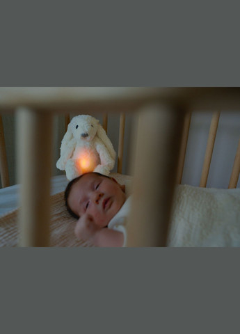 Музична м'яка іграшка Зайчик RO, білий () Zazu ZA-RO-03 (328447125)