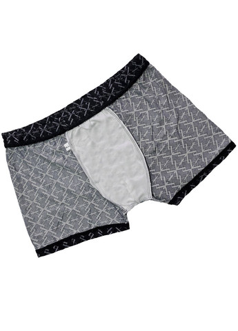 Труси чоловічі боксери 2 шт упаковка (1018) IN.VASALL (369766330)