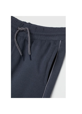 Спортивні штани джоггери з начосом для хлопчика 0563477-4 графітовий H&M (282433284)