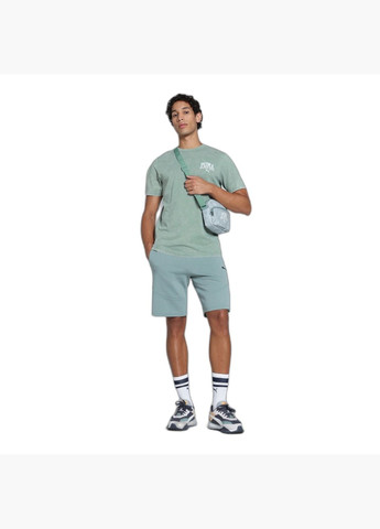 Зеленая мужская футболка class tee green 684640-30 Puma