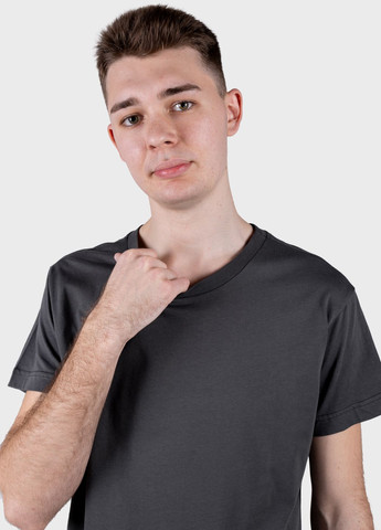 Сіра футболка чоловіча сіра 103203 Power