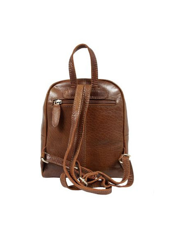 Рюкзак туристический Ashwood T87 Honey (369883115)