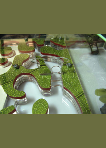 Муравьиная ферма (формикарий) горизонтальная (Лист) + муравьи-жнецы No Brand AntHouse (314798853)