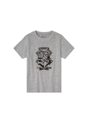 Комбінована літня набір футболок для хлопчика Pepperts