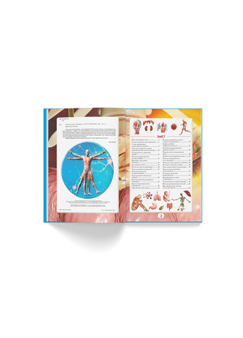 Вы должны это знать. Тело человека Crystal Book (317745232)