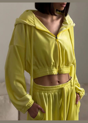 Велюровый костюм Україна (346331583)