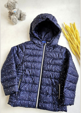 Темно-синяя демисезонная куртка демисезонная с капюшоном Lupilu Куртка