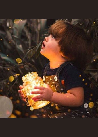 Светодиодная гирлянда роса, 10 м, 100 LED, 8 режимов, теплый белый свет, с пультом, на батарейках No Brand (315719825)