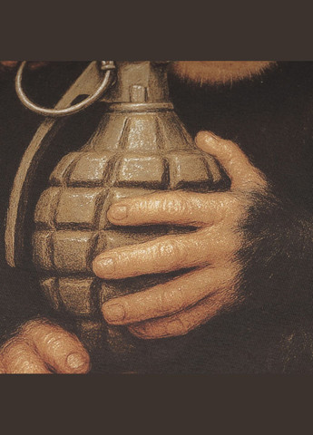 Футболка з малюнком Мавпа Tan 499 P1G (331643085)