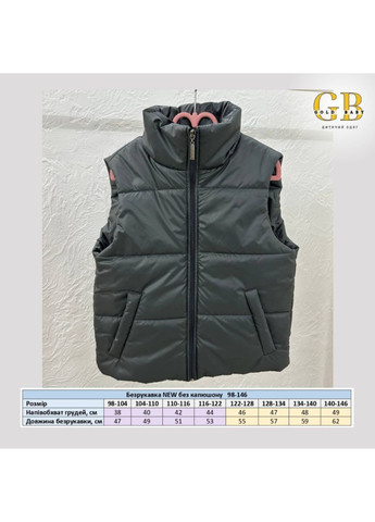 Безрукавка New No Brand (278646745)