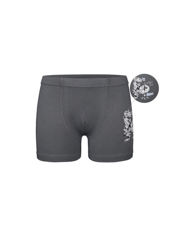 Набір (5 шт) трусів-боксерів для хлопчиків Donella 7571PB5 (306709292)