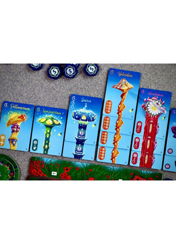 Магія фей (Fairy ring) Lord of Boards (313652943)