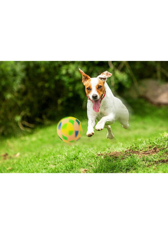 Игрушка для собак Z742 Мяч с узорами Ø5,7см Happet (353687526)