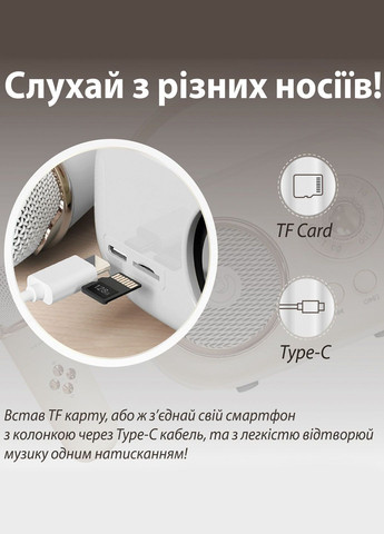 Колонка Bluetooth з мікрофоном портативна BT/TF/USB/FM з вологозахистом 5 Вт Platinum C-20 (302467637)