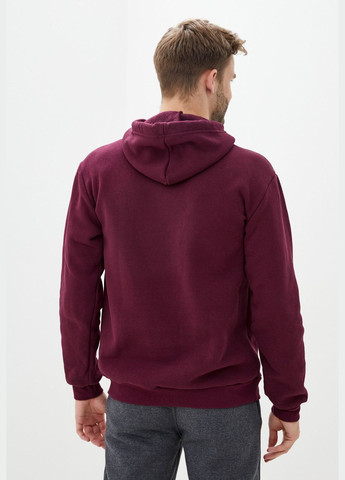 Чоловіче худі з начосом і манжетами (hb337457) HiBrand (347767415)