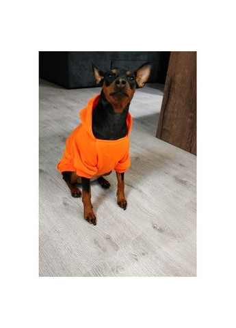 Худі для собак і кішок з капюшоном No Brand (362136087)