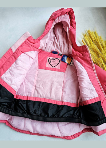 Дитячий лижний термокостюм THERMOLITЕ для дівчаток Lupilu Куртка та штани (345701510)