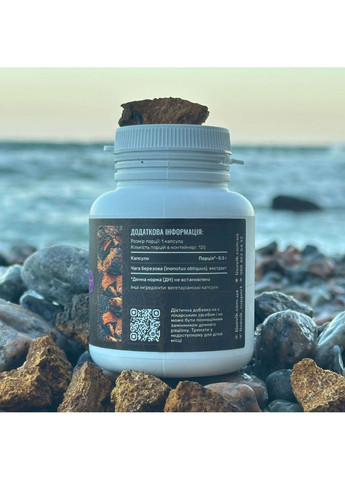 Чага березова, екстракт 10:1, капсули 120 шт по 0.5 г Лісовик (334711205)