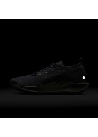 Сірі кросівки чоловічі pegasus trail 5 gtx grey fq0908-006 Nike