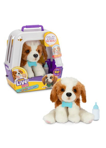 Інтерактивна іграшка (26548) Moose Little Live Pets Лагідне цуценя (366155997)