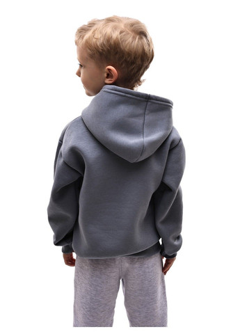 Толстовка для хлопчика FILTEX (371305739)