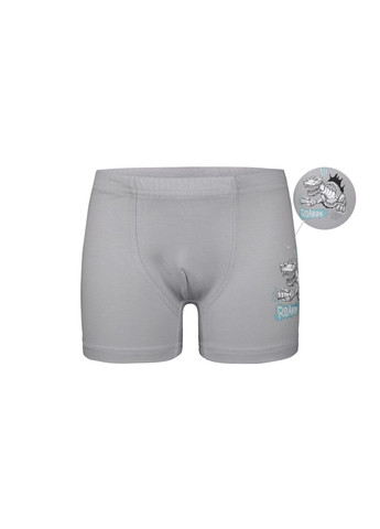 Набір (5 шт) трусів-боксерів для хлопчиків Donella 7571PB5 (306709292)