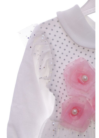 Бежева сукня з довгим рукавом з фатином з трояндами 74 см (36935) BABYKROHA (323469395)