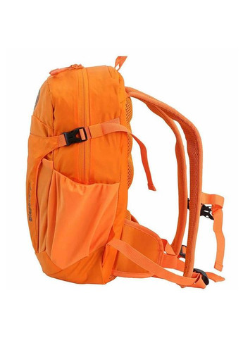 Рюкзак Discovery (335406459)