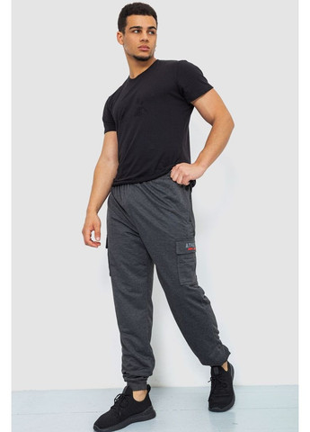 Темно-серые спортивные демисезонные брюки Sport Line