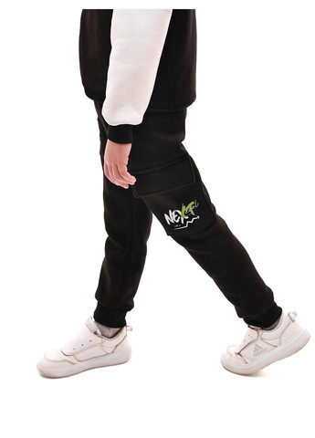 Штани спортивні для хлопчика Фіона (370433707)