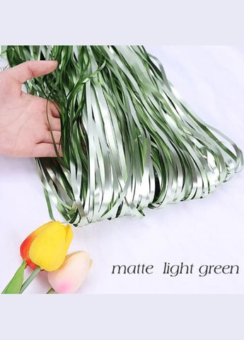 Дождик для фотозоны матовый украшение 245 см на 92 см зеленый Jannet Дощик (316580294)