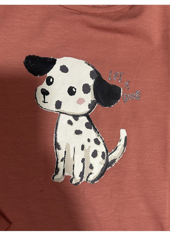 Кофта, кофточка для дівчинки 110/116 No Brand (353694845)