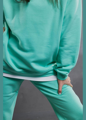 Женский спортивный костюм со свитшотом и джогерами 3х-петля М123, фуме UMON (330827867)