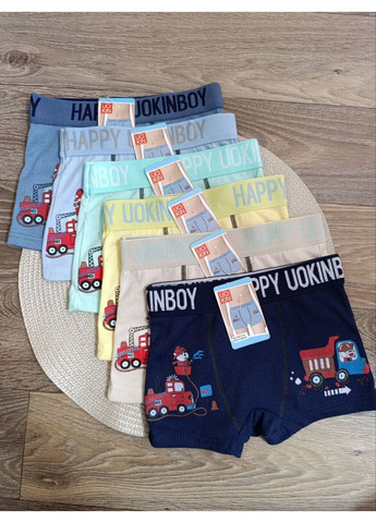 Трусики детские на мальчика, с рисунком, UOKIN (366038793)