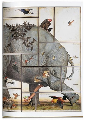 Книга Walton Ford. 40th Ed. (9783836595742) Taschen (364656353)