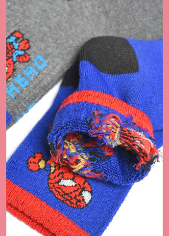 Набор носков детских махровых для мальчика 3 штуки Let's Shop (304501504)