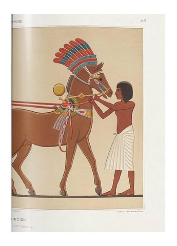 Книга "Prisse d'Avennes". Egyptian Art (9783836565004) Taschen (364654488)