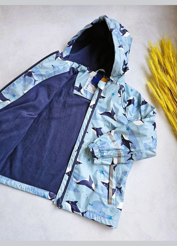 Дождевик Детский Грязепруф на флисе ☔️Дождевик Комплект Детский Куртка и Полукомбинезон Lupilu Куртка та Напівкомбінезон (304287772)