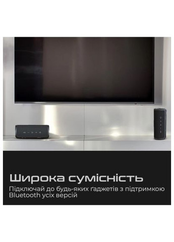 Акустична система (ripple.black.) HiFuture Ripple Black (366158617)