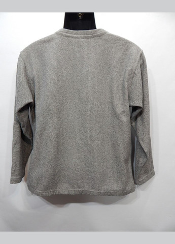 Чоловіча флісова кофта Mountain р.48 004FMKN (тільки в зазначеному розмірі, тільки 1 шт.) No Brand (317352995)