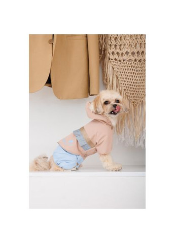 Дощовик Tina для дівчаток розмір бежевий/блакитний (*) Pet Fashion (323153625)