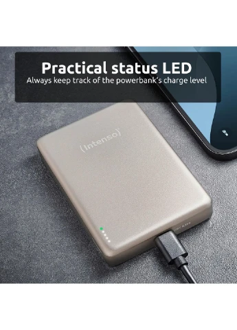 Power Bank USB 10000MAH MAG CHAMPAGNE MW10000 7344031 Intenso (394368846)