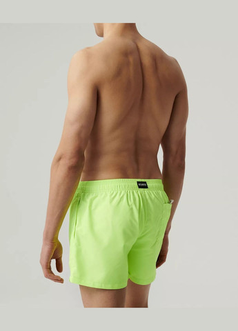 Чоловічі пляжні шорти Atlantic (329034373)