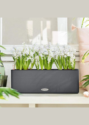 Вазон Cube Color Triple 40 сірий (A-013597) Lechuza (317268835)