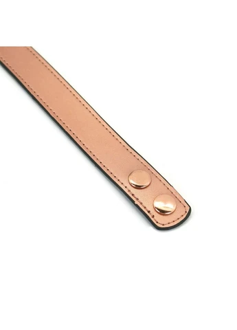 Ошейник с зажимами для сосков Liebe Seele Rose Gold Memory with Nipple Clamps Collar (315014040)