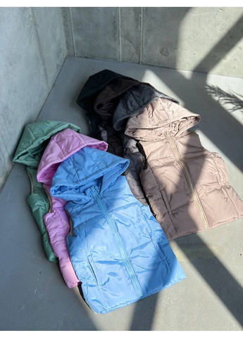 Жилетка детская унисекс,матовая плащевка Канада,синтепон 150,с капюшоном Україна (359912731)