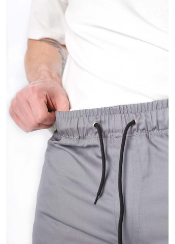 Серые спортивные демисезонные брюки Intruder